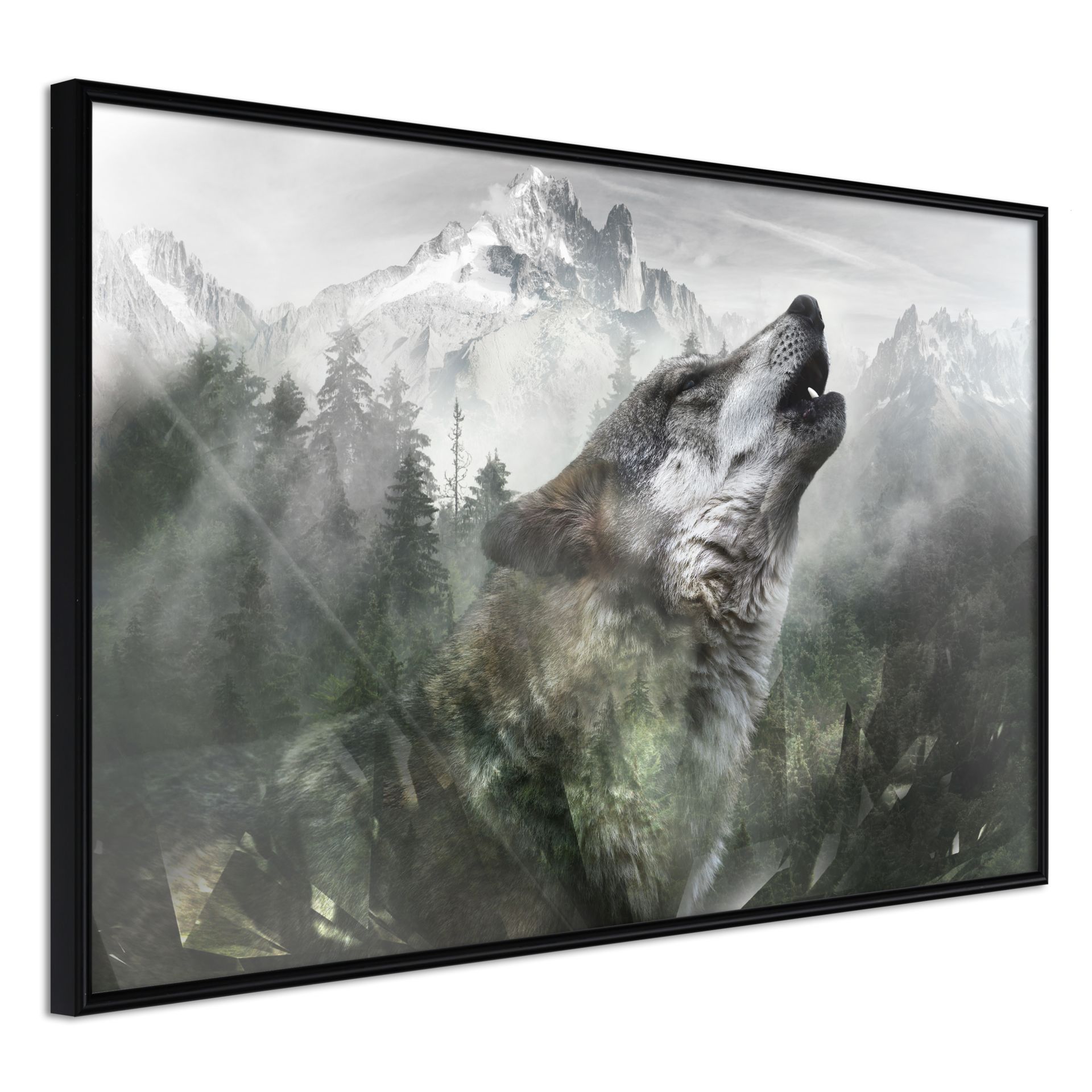 Poster Howling Wolf Kaufen Kunstloft