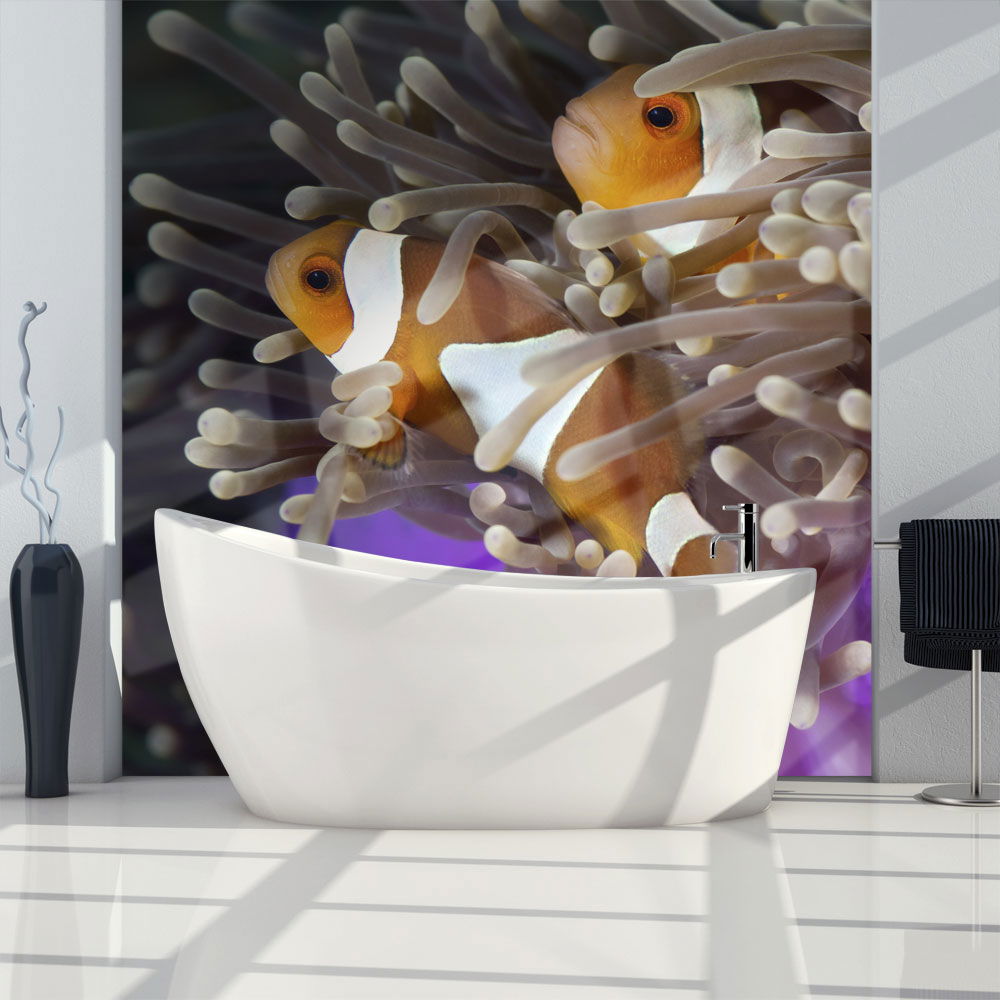 Comprar Papel Pintado Cute Clownfish Kunstloft