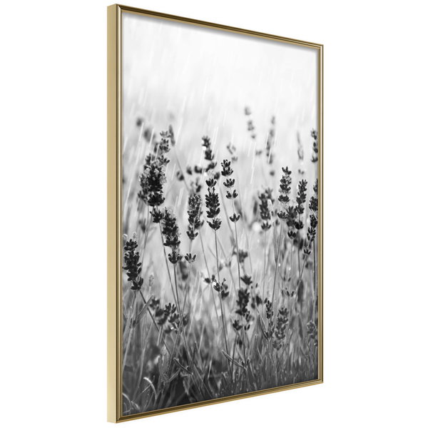 Poster 'Shadow of Meadow'