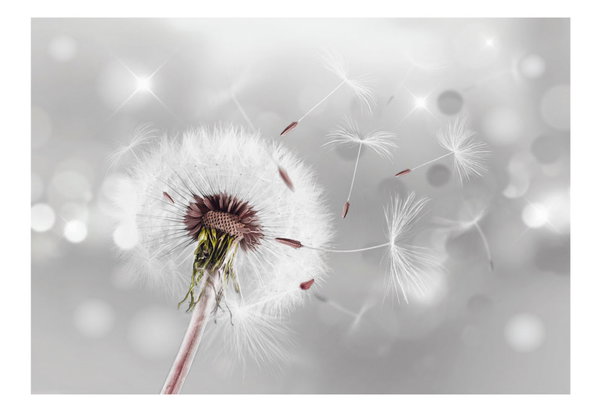 Tapete 'Dancing in the Sky'