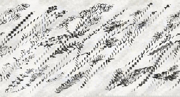 Behang 'Sketchpad 1' 500x270cm