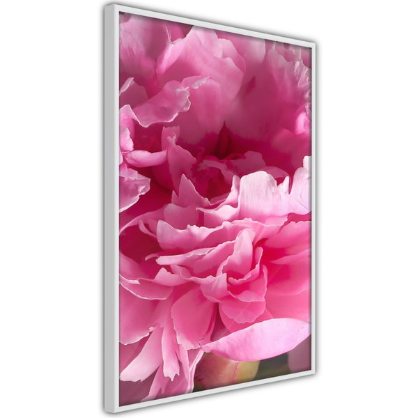 Poster 'Beautiful Peonies'