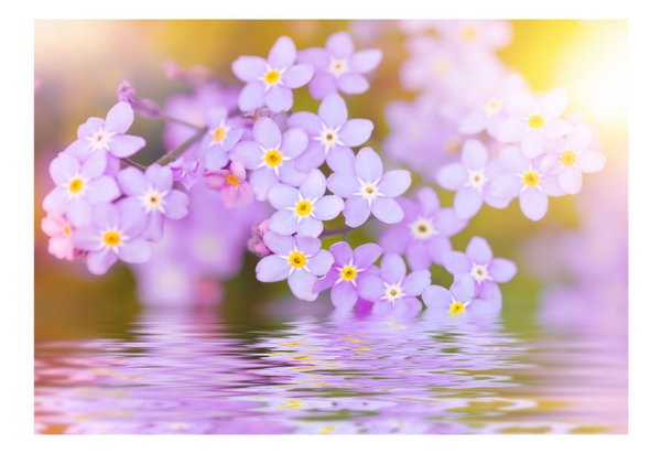 Carta da parati 'Beauty on the Pond'