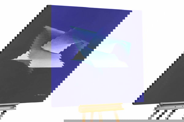 Een uniek exemplaar voor je interieur