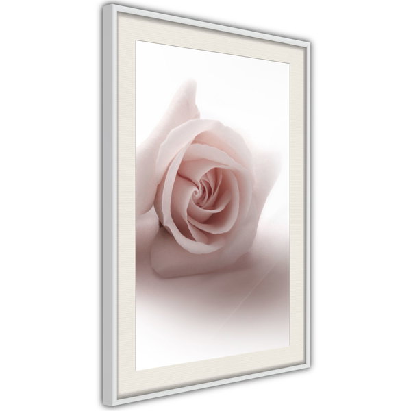 Poster 'Rosae Shadow'