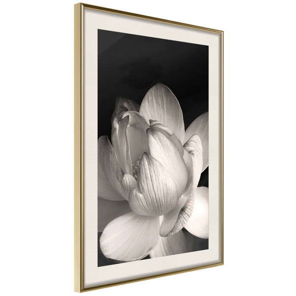 Poster 'Delicacy of a Flower'