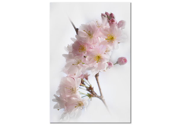 Art print on canvas 'Spring in Japan Vertical'