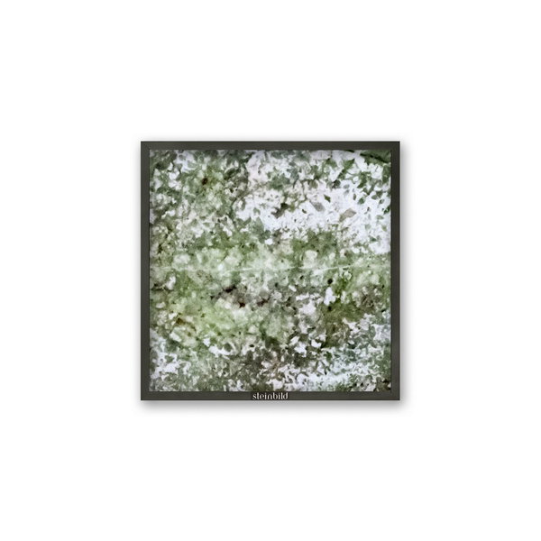 Steinbild 'Essential Line Robinia'