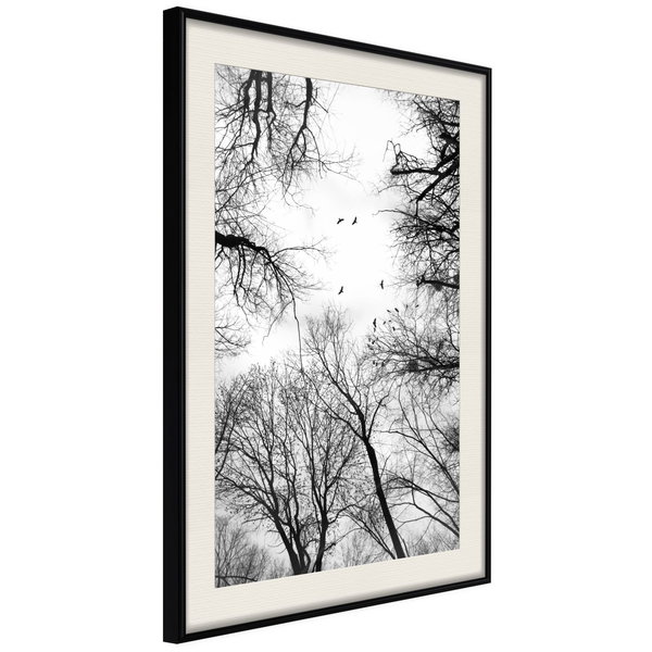 Poster 'Treetops'