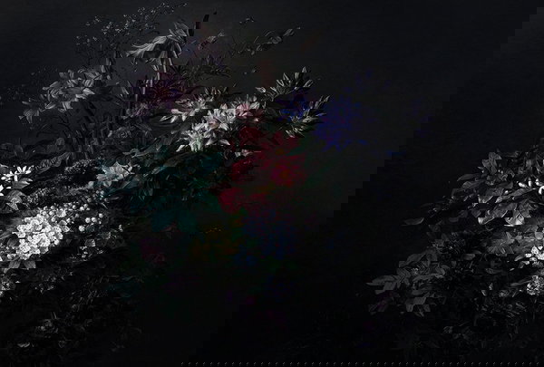 Behang 'Bouquet Noir 2' 400x270cm