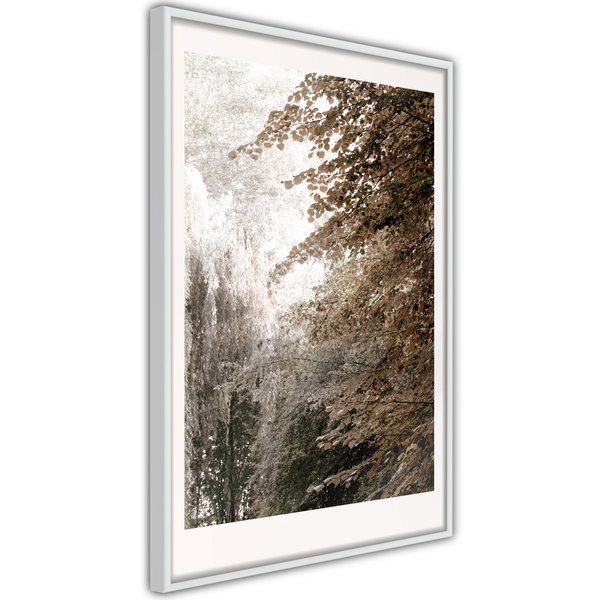 Poster 'Pond in the Park'