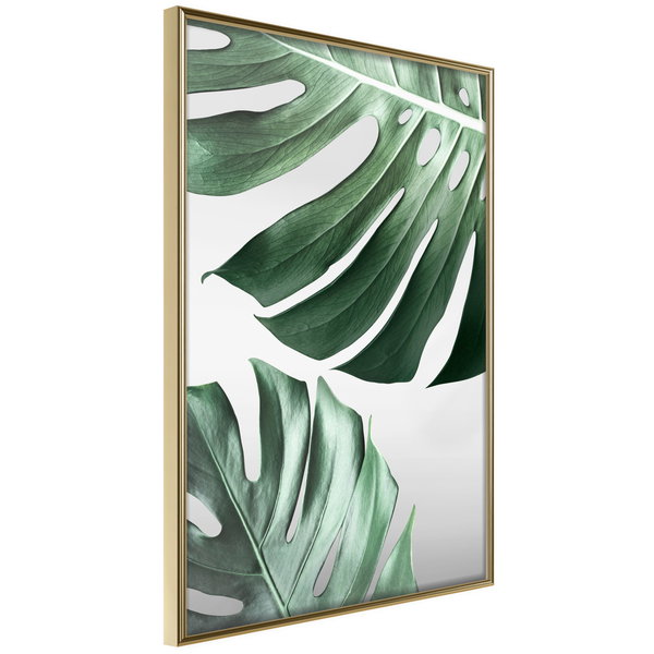 Poster 'Leaves Like Swiss Cheese'