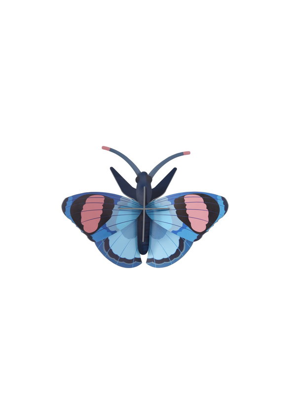 Wanddeko Papier 'Azur-Flug-Trio'