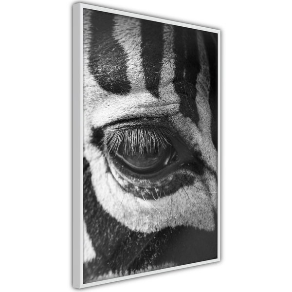 Poster 'Zebra Is Watching You'