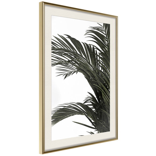 Póster 'Jungle Scent'