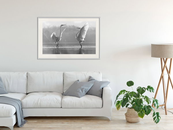 Poster 'Black and White Herons'