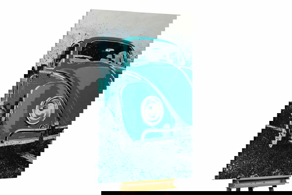 Un ejemplar único para su hogar o puesto de trabajo