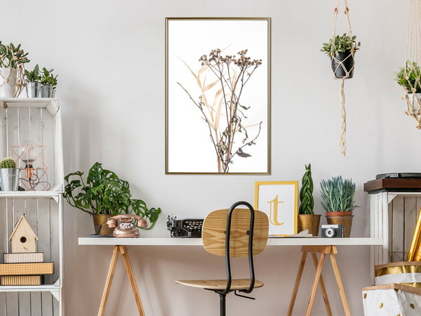 Poster 'Diary of a Herbalist'