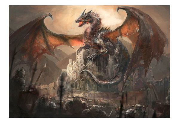 Papier peint 'Dragon castle'