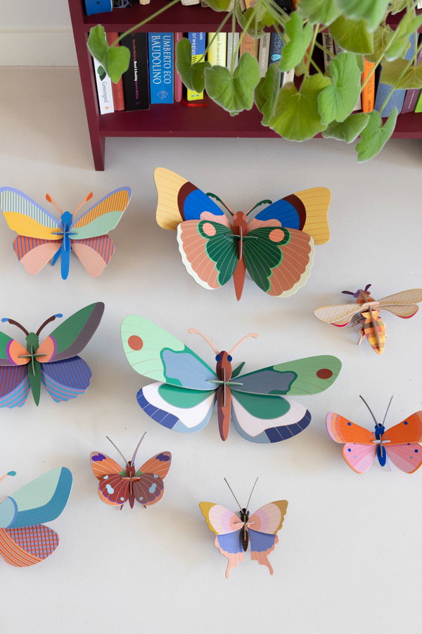 Wanddeko Papier 'Gedämpfte Flügelschönheit'