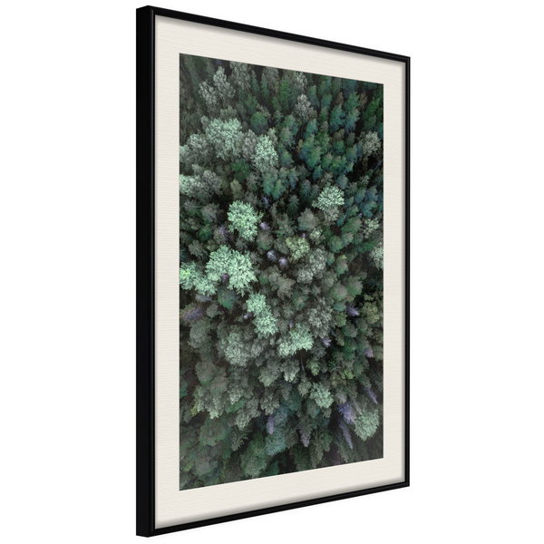 Poster 'World from High Above'