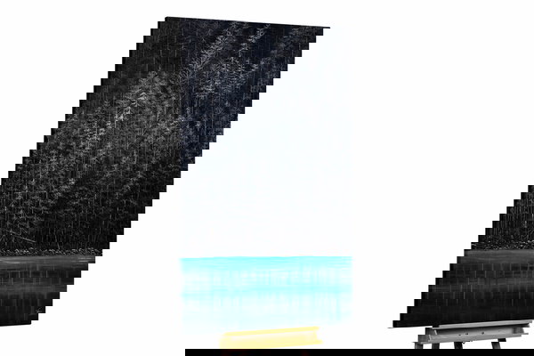 Een uniek exemplaar voor je interieur