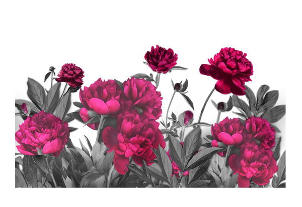 Selbstklebende Tapete 'Lush meadow'