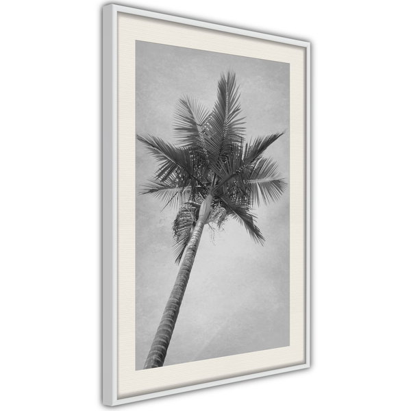 Poster 'Memories from the Paradise'