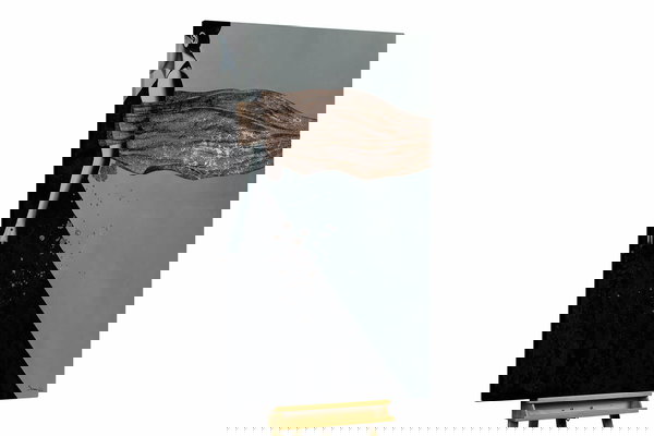 Een uniek exemplaar voor je interieur