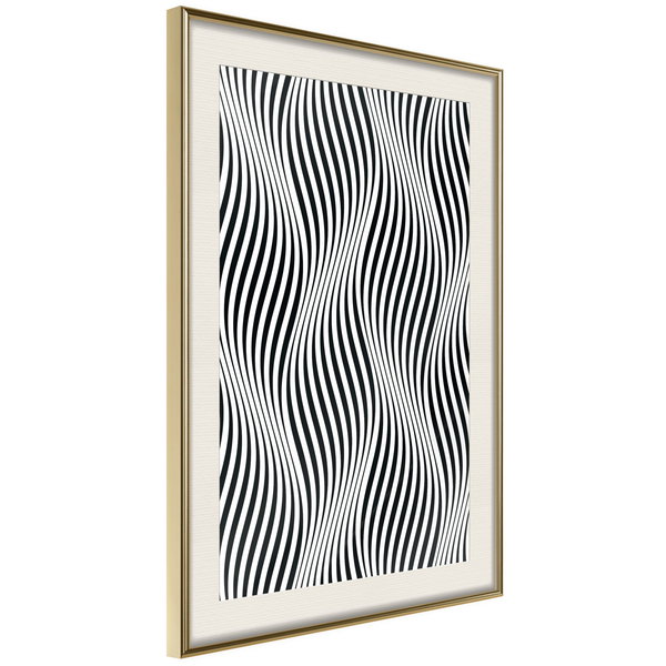 Poster 'Illusion of Movement'