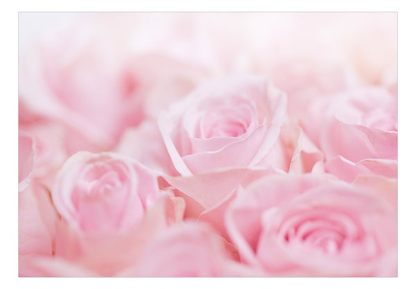 Tapete 'Ocean of Roses'
