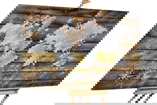 Een uniek exemplaar voor je interieur