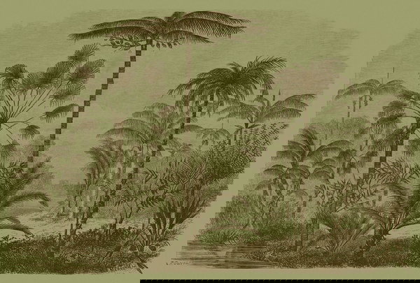 Ταπετσαρία 'Jurassic 1' 400x270cm