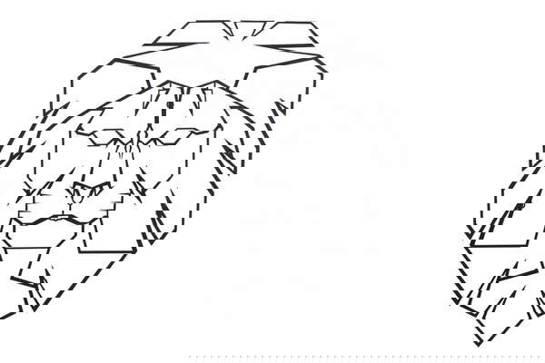 Decoração artística para a sua parede