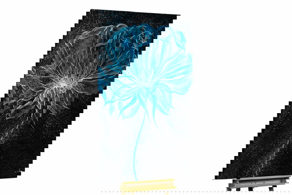 Een uniek exemplaar voor je interieur