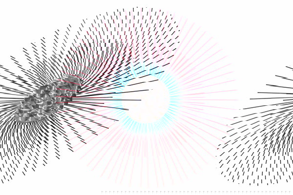 Decoración artística para su pared