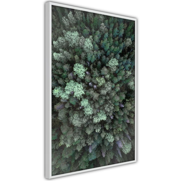 Poster 'World from High Above'