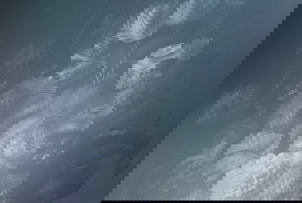 Tapeta 'Dutch Pastel 1' 400x270cm