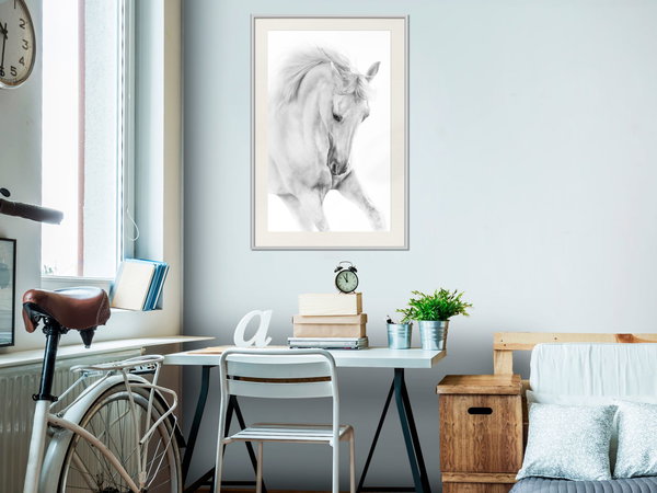 Poster 'White Horse'
