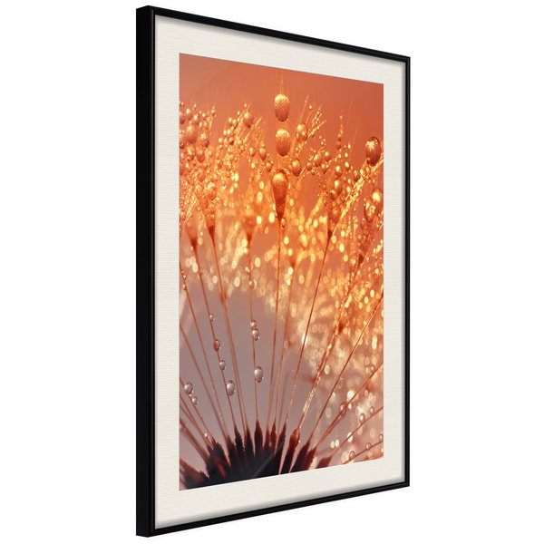 Poster 'Orange Breath of the Summer'