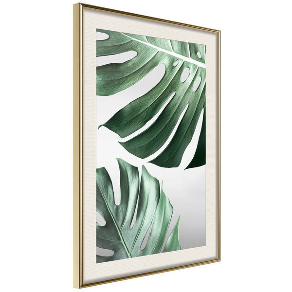 Poster 'Leaves Like Swiss Cheese'