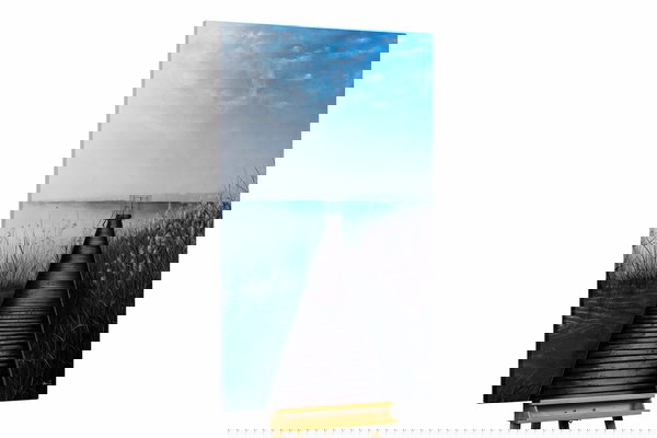 Un ejemplar único para su hogar o puesto de trabajo