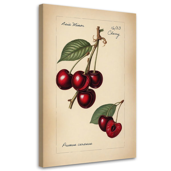 Kunstdruck auf Leinwand 'Cherry'