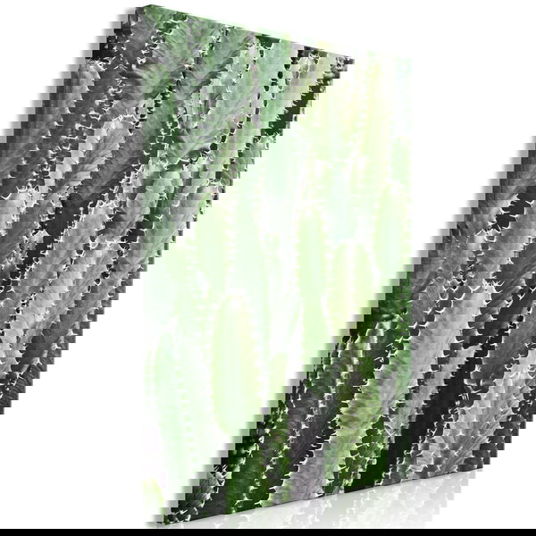 Impression sur toile 'Cactus Garden Vertical'