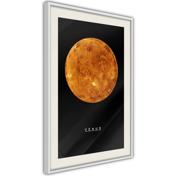 Poster 'Venus'