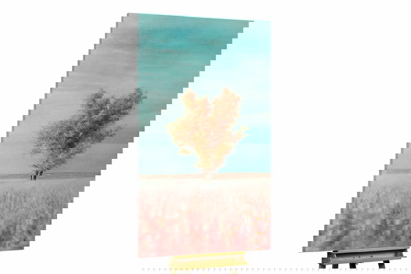 Um exemplar único para a sua decoração interior