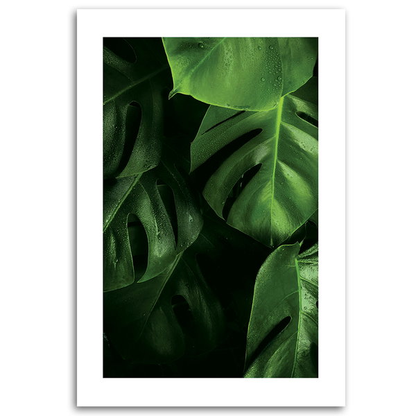 Kunstdruck auf Leinwand 'Monstera Leaves with Dew 1'
