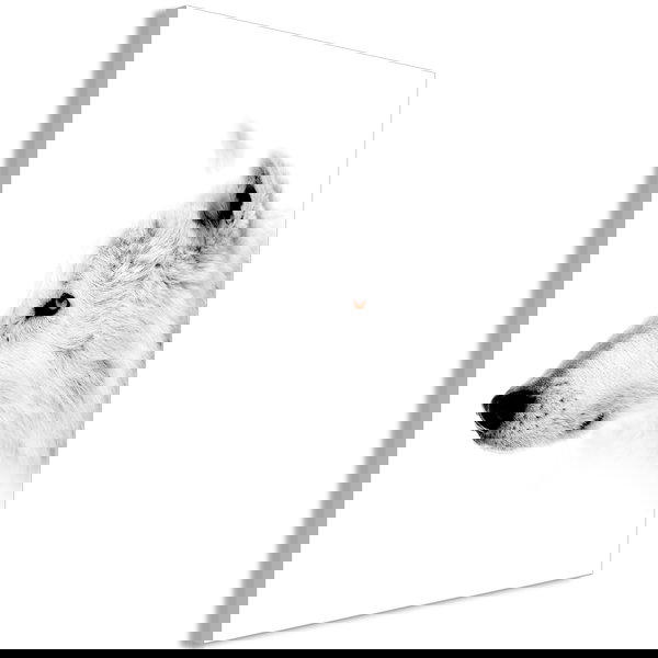 Cuadro impreso sobre lienzo 'Amber Gaze Vertical'