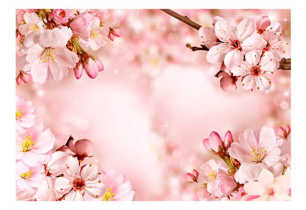 Selbstklebende Tapete 'Magical Cherry Blossom'