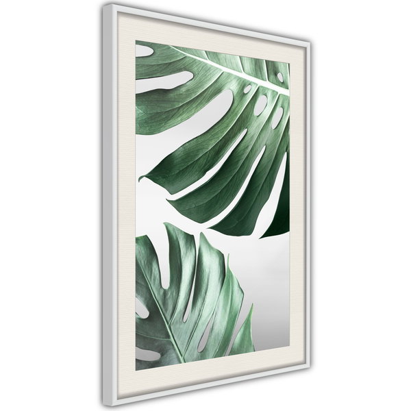 Poster 'Leaves Like Swiss Cheese'